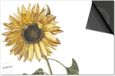 Dietrix Inductie Beschermer 81x52 cm - Botanical Zonnebloem - Kookplaat Beschermer