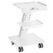VEVOR Laboratoriumwagen, 3-laags laboratoriumwagen met wielen, mobiele metalen wagen met zwenkwielen, serveerwagen, kliniekwagen met dienblad en 100 kg draagkracht, voor laboratorium, kliniek, schoonheidssalon