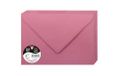 Clairefontaine 555652C - Pakket van 20 Grote Geplakte 16,2x22,9cm 120g