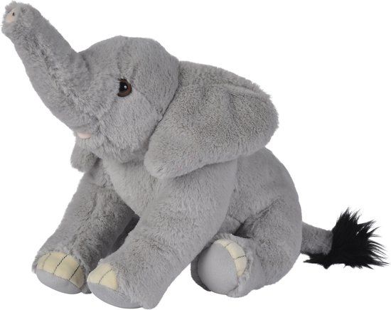Disney - Nat. Geo. Turtle - Schildpad Knuffel - 25cm - Pluche - Vanaf 0 jaar