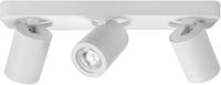 HighLight Oliver 2L Opbouwspot - Zwart - IP44 - Metaal