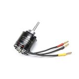 Spektrum SPMXAM1000 Motoren, meerkleurig