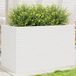 Prolenta Maison Exclusive - Bloembak, wit, 110 x 60 x 68,5 cm, massief grenenhout