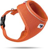 Basic Curli Basic Air-Mesh harnas, oranje, S