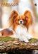 CalendarsRUs Papillon A3 Kalender 2027