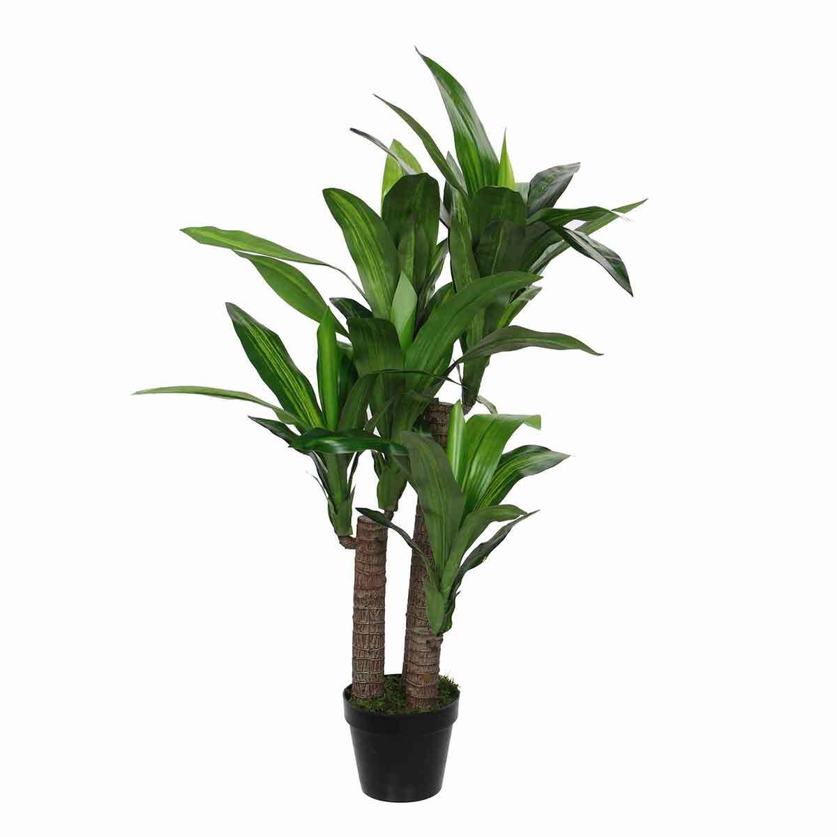 Mica Decorations dracaena in pot maat in cm: 110 x 60