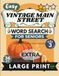 Easy Vintage Main Street Vol 3 Word Search for Seniors Extra Large Print