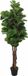 vidaXL Kunstplant Vijgenboom - 150 cm - Groen