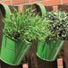 Siena Garden pot de fleurs, set de 2, vert