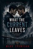 What the Current Leaves: A Gay Romantic Suspense Thriller