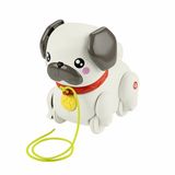 Fisher-Price FP Pets Wandelen-met-de-mopshond