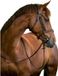 Kerbl Hoofdstel Classic Leer Bruin Paard Full