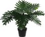 Mica Decorations Philondendron plante artificielle - 60 cm - vert - facile d'entretien - pot inclus