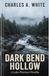 Dark Bend Hollow Paperback