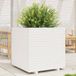 Maison Exclusive - Jardinière, blanc, 70 x 70 x 72 cm, pin massif