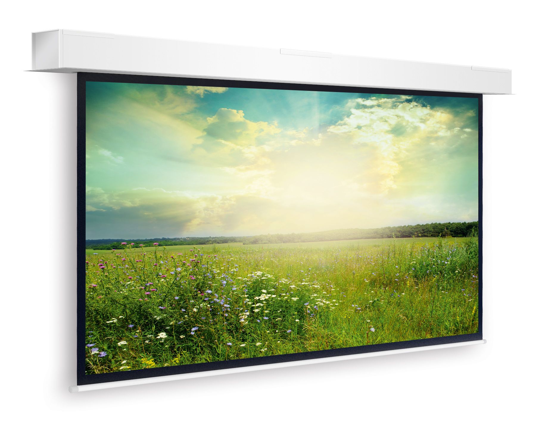 Projecta Descender Large Electrol - 300 x 400 cm