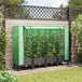 Maison Exclusive - Jardinière avec couverture de serre et roulettes, set de 4 pièces, matériau PP