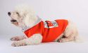 Pet Tribe PT72245 mantel Brooklyn Star Mis 20 cm, XS