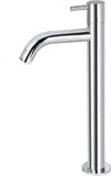 Differnz Wastafelkraan - Koudwaterkraan - Hoog - Chroom - 28.5 cm