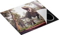 Chefcare Inductie Beschermer Tyrannosaurus Rex Dinosaurus - T-Rex - 57,6x51,6 cm - Multicolor