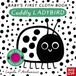 Baby's Nosy Crow Ltd Baby's First Cloth Book: Cuddly Ladybird