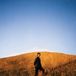 Dear Sam Burton - Dear Departed (CD)