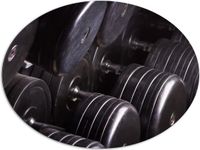 Merkloos / Sans marque Dibond Ovaal - Foto van Rek Vol Dumbells in Sportschool - 108x81 cm