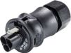 Wieland Electric 96.022.4053.1 Connecteur rond Fiche, droit Nombre total de pôles : 2 Série (connecteurs ronds) : RST® CLASSIC 1 pièce(s)