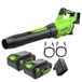 Greenworks 48V(24V x 2) axiale accu bladblazer 217 km/u, 16,4 m³/min luchtsnelheid krachtige axiaalgeblazen elektrische toerentalregeling met 2x 4Ah accu en oplader met dubbele sleuf) BL48L420-01