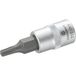 TOOLCRAFT T15 816081 Douille-embout T 15 1/4 (6,3 mm)