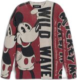Desigual Kindertrui met ronde hals Wild Mickey