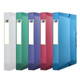 Oxford Archiefdoos 300 vel A4 4 cm Polypropyleen Blauw, Groen, Roze, Paars, Transparant