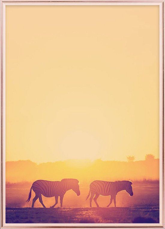 Posterdeco Poster with Metal Rose Frame - Zebra Sunset - 21x30cm