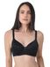 SASSA Coqué BH Allover Dentelle-Jacquard | 90-115 B-F