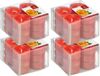 Trend Candles Bougies parfumées/Chafing dish candles - 48x - Parfum orange - 4 heures de combustion - Coupelle transparente