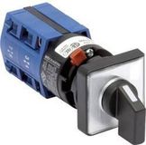 Kraus & Naimer CG4.A212.FS2.F085 Lastscheidingsschakelaar 10 A 2 x 60 ° Grijs, Zwart 1 stuk(s)