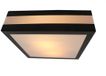 Brilliant MATTEO Plafondlamp 2x11W Gris Anthracite 96233/63