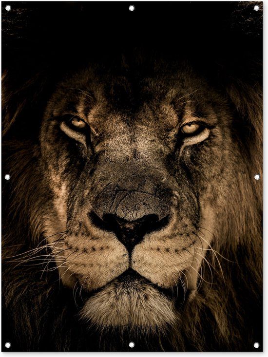 GreatGardenPosters Tuinposter Leeuw Zwart Portret 90x120 cm - Tuinposter voor Buiten