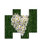 Homemania Wandfoto, motief: bloemen, 4 stuks, voor woonkamer, slaapkamer, meerkleurig, 76 x 0,3 x 50 cm, HM204PMDF212, MDF