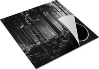 Chefcare Inductie Beschermer Bos met Zon tussen de Bomen - Zwart Wit - 78x78 cm - Inductie Mat