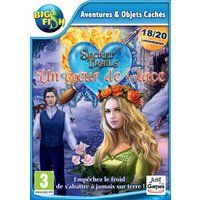 Big Fish Games Secret Trails : Un Coeur de Glace - Standard Edition PC