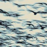 The Bellbird - The Call (LP)