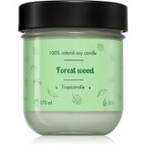 Tropicandle Forest Wood