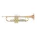 Roy Benson Bb Trompet TR-202G