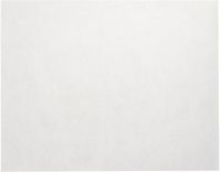 Starpak 100 Placemats, Polyester, Wit, 30 cm x 40 cm