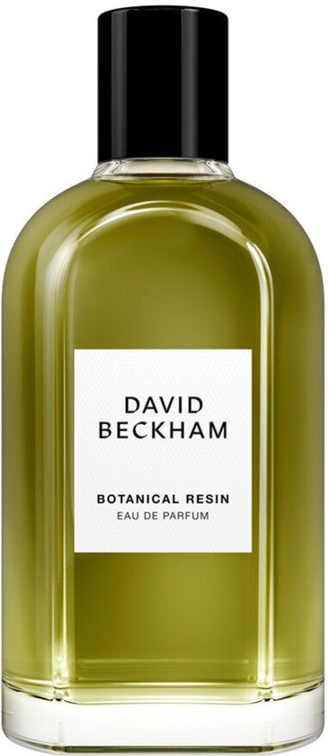 David Beckham Eau de Parfum / 100 ml / Mannen