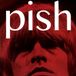 Suburban Brian Jonestown Massacre Mini Album Thingy Wingy