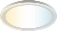 Brilliant Pederson Plafondlamp LED 10W CCT 3000K-6500K Dimbaar Nachtlicht Timer Afstandsbediening Wit