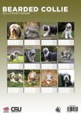 CalendarsRUs Bearded Collie A3 Kalender 2027