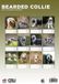 CalendarsRUs Bearded Collie A3 Kalender 2027